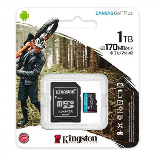 Kingston 1TB micro Canvas Go! Plus SDCG3/1TB
