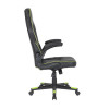 2Е GAMING HEBI Black/Green 2E-GC-HEB-BK
