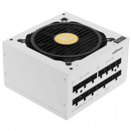 Zalman Teramax 2 1000W (ZM1000-TMX2WH) Ağ