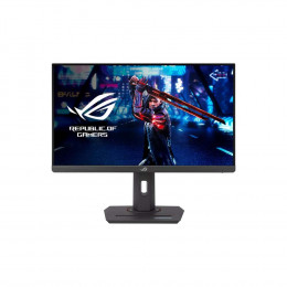 Asus ROG Strix XG259QNS (90LM09M0-B01370) 24.5"