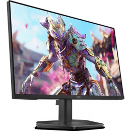 Dell SE2426HG 23.8" (210-BTTF) 