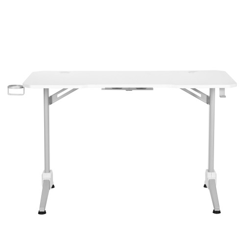 2Е Gaming Desk OTOROSHI White-Grey (120х60x75cm) (2E-GT-OTO-WTGR)