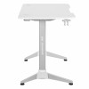 2Е Gaming Desk OTOROSHI White-Grey (120х60x75cm) (2E-GT-OTO-WTGR)