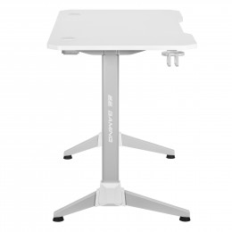2Е Gaming Desk OTOROSHI White-Grey (120х60x75cm) (2E-GT-OTO-WTGR)