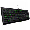 Razer Cynosa Lite + мышь Razer Abyssus Lite (RZ84-02740400-B3R1)