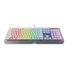 Razer BlackWidow X Chroma Mercury Edition